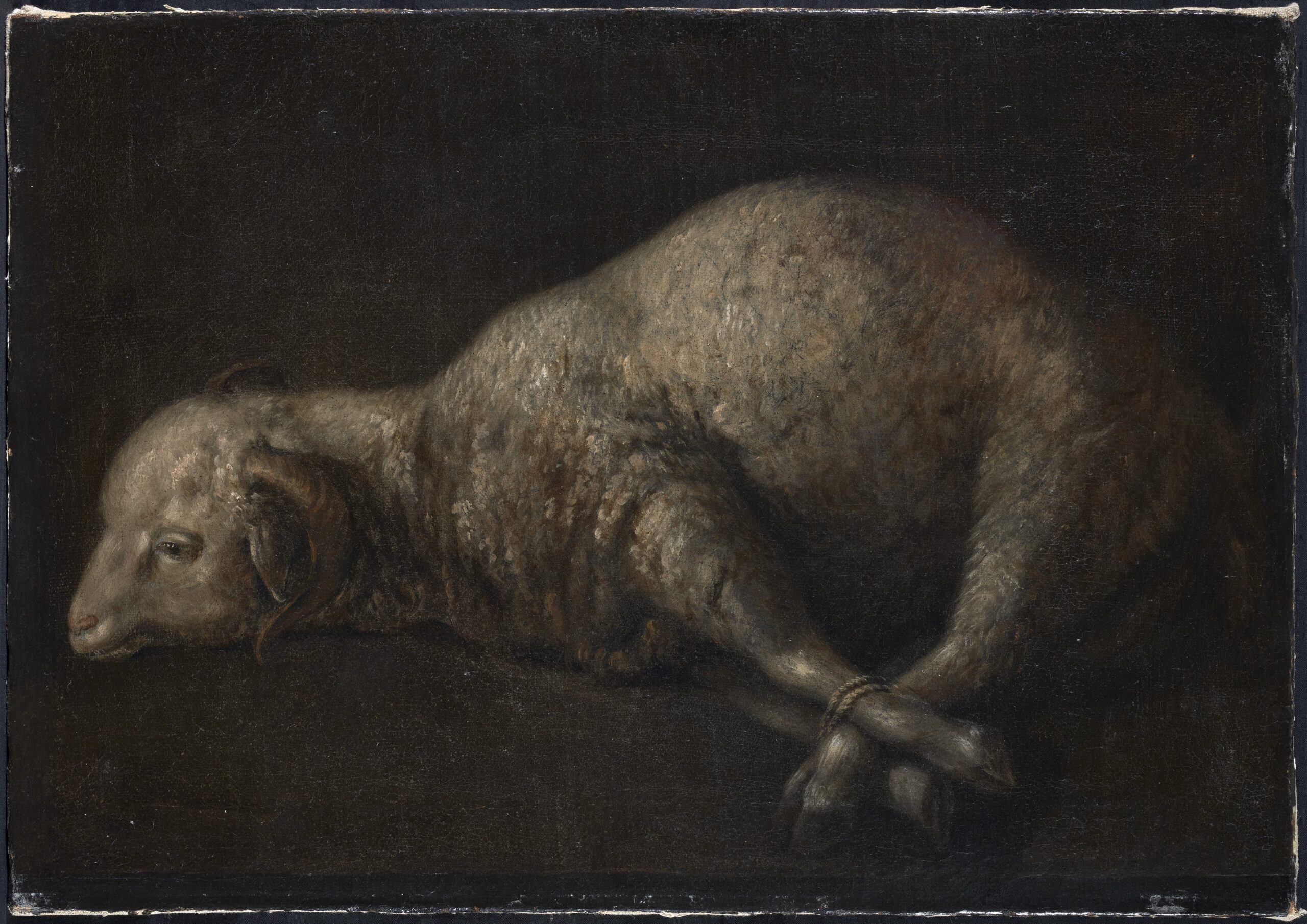 Francisco de Zurbarán “Agnus Dei”